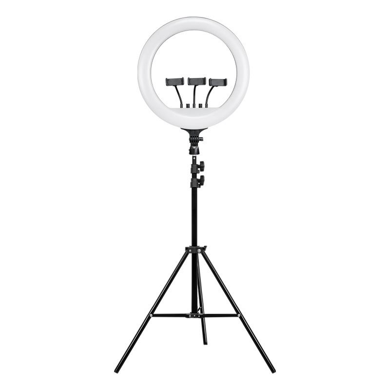 Photography Lighting Position - 18インチのインターネットセレブリティ向けライブ配信ホスト用美顔フィルライト、3段階調整可能なスマホ用LEDリングライト、写真撮影用