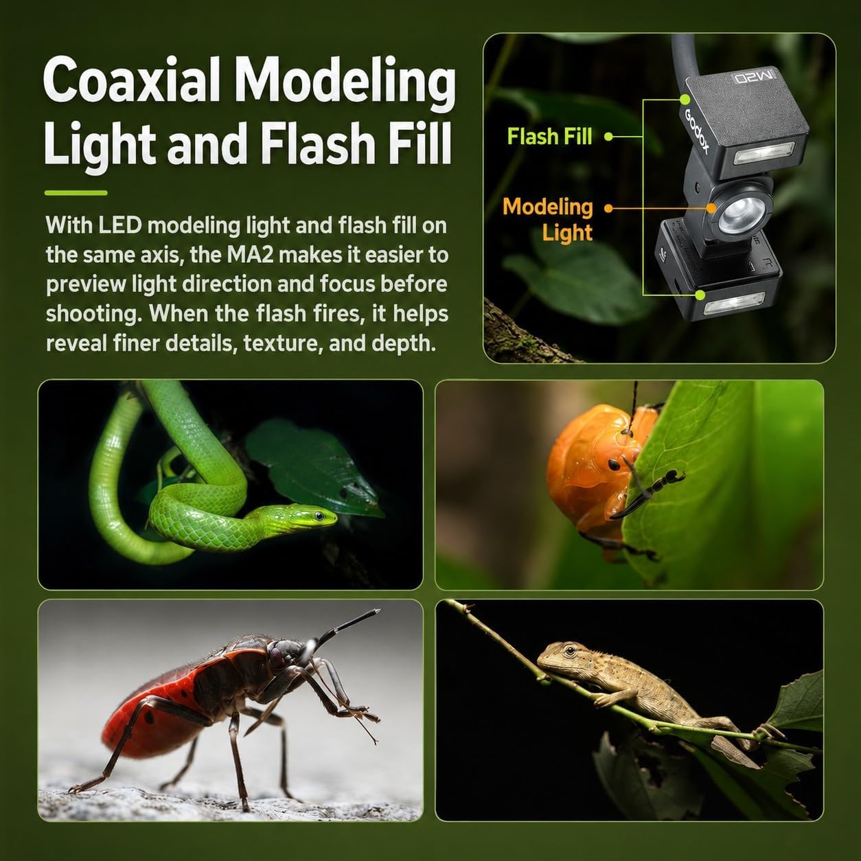 Godox MA2 フレキシブル マクロ ツインライト 28 - Godox Speedlite Flash のレビューと価格