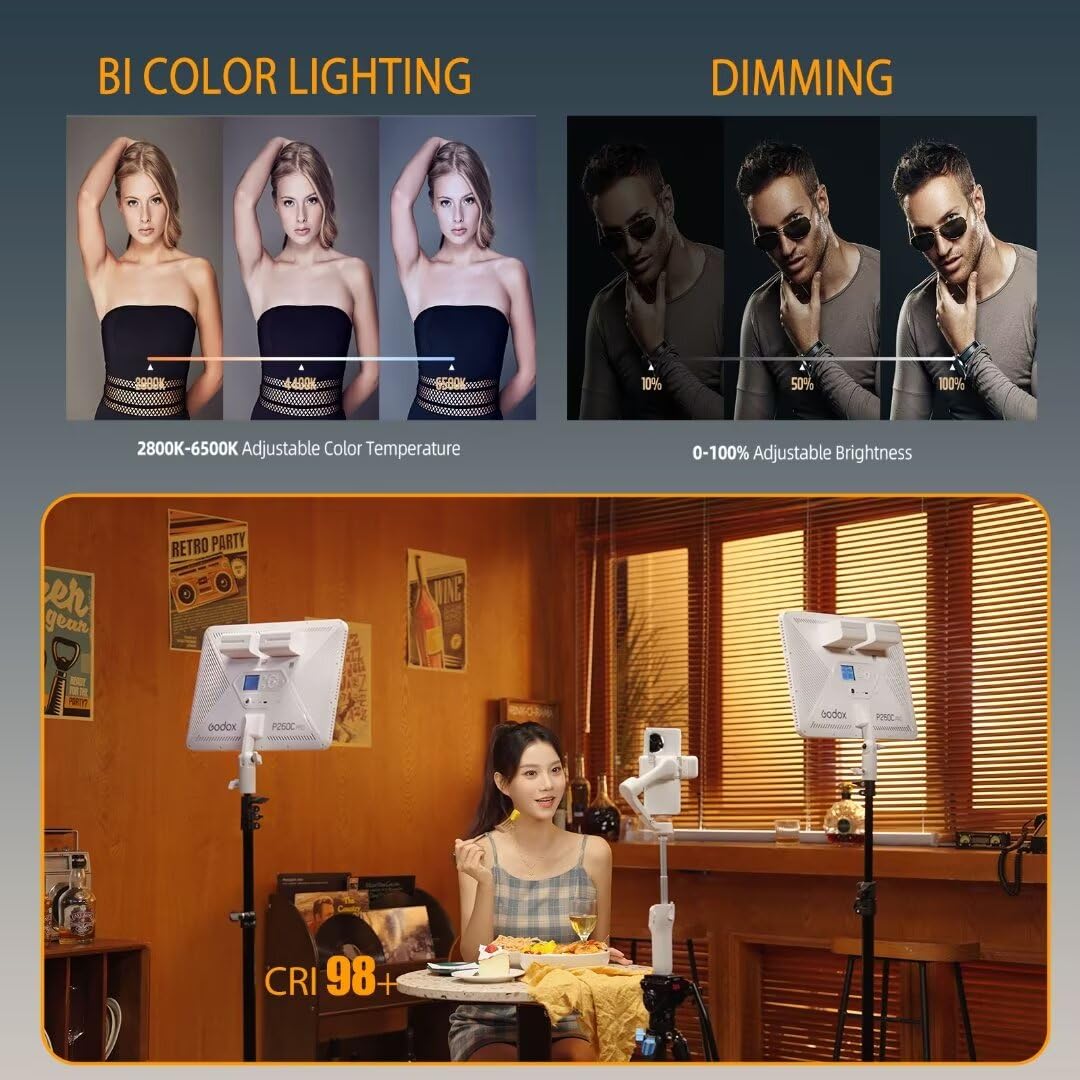 Godox P260C Pro LED ビデオライトパネル  - Video Light Panel Led のレビューと価格